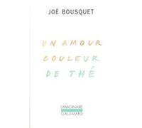 Un Amour couleur de thé Joë Bousquet (Auteur)