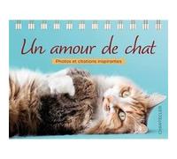Un amour de chat - Pensées et citations inspirantes Collectif (Auteur)