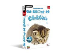 Un amour de chaton