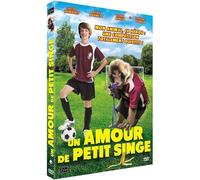 Un Amour De Petit Singe
