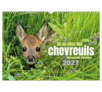 Un an avec des chevreuils (Calendrier mural 2027 DIN A3 vertical), CALVENDO calendrier mensuel: 13 photos remarquables et magnifiques de chevreuils au fil des saisons