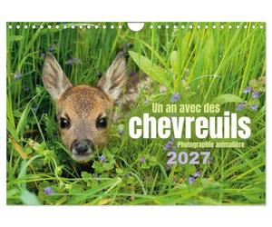 Un an avec des chevreuils (Calendrier mural 2027 DIN A4 vertical), CALVENDO calendrier mensuel: 13 photos remarquables et magnifiques de chevreuils au fil des saisons