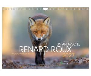 Un an avec le renard roux (Calendrier mural 2027 DIN A4 vertical), CALVENDO calendrier mensuel: Animal sauvage beau et intelligent