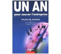 Un An Pour Sauver L'entreprise
