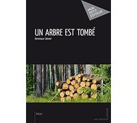 Un arbre est tombé