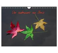 Un automne au Bois (Calendrier mural 2027 DIN A4 vertical), CALVENDO calendrier mensuel: Un automne dans le Bois de Boulogne.