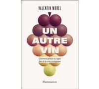 Un autre vin Valentin Morel (Auteur)