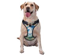 Un beau gilet de traction imprimé licorne pour animaux de compagnie à porter lors de la promenade du chien ou de l'escalade des montagnes