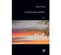 Un beau soir l'avenir Pobel didier (Auteur)