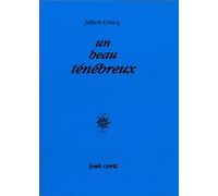 Un beau ténébreux