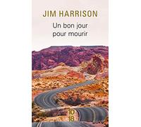 Un bon jour pour mourir