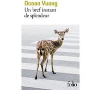 Un bref instant de splendeur Ocean Vuong (Auteur), Marguerite Capelle (Traduction)