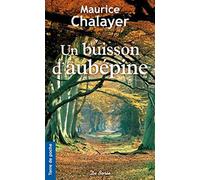 Un buisson d'aubépine