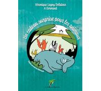 Un cadeau surprise pour les animaux - Conte BD sans parole
