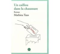 Un Caillou Dans La Chaussure