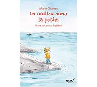 Un caillou dans la poche