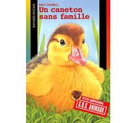 Un caneton sans famille