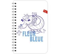 Un Carnet Répertoire A Spirale Astérix/Obélix 11x17 Cm 100 Pages Lignées Papier Blanc 90g - Collection Astérix - 3 Visuels Obélix, 1 Visuel Astérix, Livraison Aléatoire