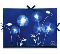Un Carton À Dessin Décor Floral/Cyanotype - Fermeture 3 Rubans 28x38cm - Pour Formats A4 Et 24 X 32 Cm - Résistant Et Pratique - Collection Cyanotype