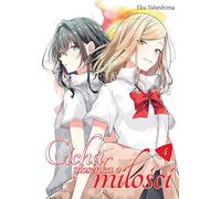 Un chant d'amour tranquille. Volume 4