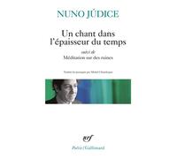 Nuno Júdice – Un chant dans l'épaisseur du temps – Méditation sur des ruines – Poche