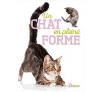 Un Chat En Pleine Forme