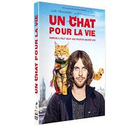 Un chat pour la vie – DVD