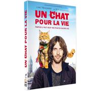 Un chat pour la vie – DVD