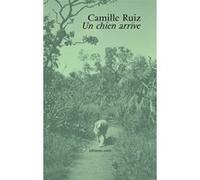 Un chien arrive Camille Ruiz (Auteur)