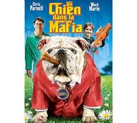 Un Chien Dans La Mafia