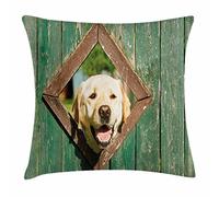 Un Chien Drôle Et Curieux Regarde par La Fenêtre dans Une Vieille Clôture en Bois Rustique Joyeux Taie d'oreiller Respirant Housse De Coussin Moderne Canapé Taie d'oreiller