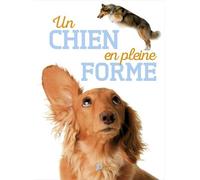 Un Chien En Pleine Forme