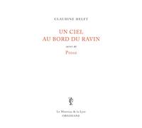 Un ciel au bord du ravin: Suivi de Prose