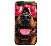 Un Dessin d'un Rottweiler Cool avec des Lunettes de Soleil Coque pour iPhone SE (2020) / 7/8
