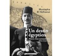 Un destin égyptien. Histoire d'une nationalisation