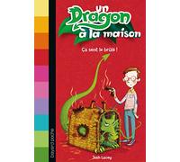 Un dragon à la maison, Tome 01: Ça sent le brûlé !
