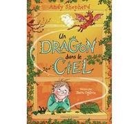 Andy Shepherd – Un dragon dans le ciel – Gallimard Jeunesse – Broché