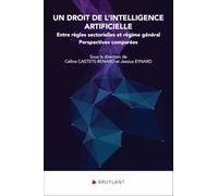 Un droit de l'intelligence artificielle - Entre règles sectorielles et régime général - Perspectives comparées