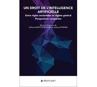 Un droit de l intelligence artificielle - Entre règles sectorielles et régime général - Perspectiv