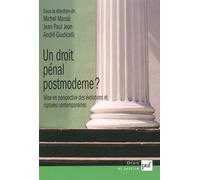 Un Droit Pénal Postmoderne ? - Mise En Perspective Des Évolutions Et Ruptures Contemporaines