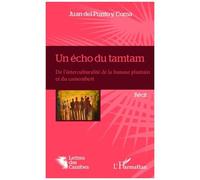 Un écho du tamtam De l'interculturalité de la banane plantain et du camembert Récit - Récit - Patrick Riba - L'harmattan - broché - Roman