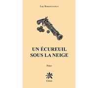 Un écureuil sous la neige