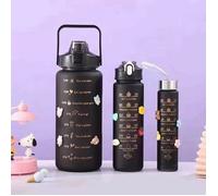 Un ensemble de trois bouteilles d'eau isothermes d'une capacité respective de 2 litres 800 ml et 300 ml sans BPA.