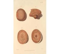 Un essai sur l'histoire chimique et le traitement médical des troubles calculeux Pl.3 (1819) Affiche imprimée par Alexander Marcet (45,7 x 61 cm)