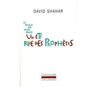 Un été rue des Prophètes - Le Palais des vases brisés . Tome 1 - David Shahar - Gallimard - Livre