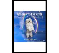 Un Eterno Presente: La Purezza dell' Anima e il Sole di Puma