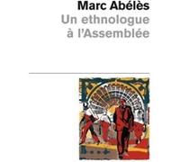 Un ethnologue à l'Assemblée Marc Abélès (Auteur)
