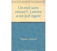 Un exil sans retour ?: Lettres à un juif égaré