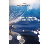 Un feu d'artifice dans ma vie Tome 1 - Foncer ou s'enfoncer - Louise Guillemot - Books On Demand - broché - Biographie