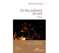 Un feu solitaire en exil - Mammad Ismayil - L'harmattan - broché - Roman